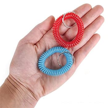 Amazon.com: Kicko 2.5 Inch Spiral Keychain - 12-Pack